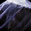 BWW Reviews: ROCINANTE! ROCINANTE!, The CLF Theatre, February 15 2012