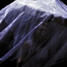 BWW Reviews: ROCINANTE! ROCINANTE!, The CLF Theatre, February 15 2012