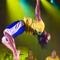 BWW Review: BRAZIL! BRAZIL! at the New Victory Theater - An Affordable Whirlwind