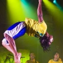 BWW Review: BRAZIL! BRAZIL! at the New Victory Theater - An Affordable Whirlwind