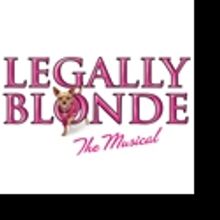 The Arvada Center Holds LEGALLY BLONDE Auditions, 3/5-11