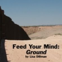 Mirror Stage Annouces the Feed Your Mind West Coast Premiere Reading of GROUND, 4/28