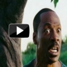 STAGE TUBE: First Look - Trailer for Eddie Murphy's A THOUSAND WORDS