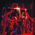 Roundup: Tommy Tune is BACK with Studio 54 Musical - FIFTY FOUR FOREVER