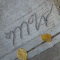 Music/Words Begins Fourth Season 11/18 with Poet Cecily Parks, Composer Ljova, et al.