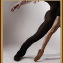 Dance Theatre of Harlem 'Vision Gala' to Honor Harry Belafonte 2/28