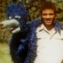 STAGE TUBE: First Look - Trailer for BEING ELMO Documentary, Now Available on Netflix