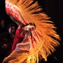 Flamenco Festival Offers Free Dance Lessons, at City Center 3/1-4