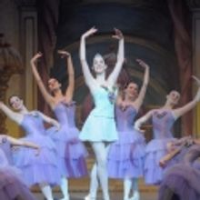 Grammy Award-Winning John McLaughlin to Conduct Palace Theatre's Productin of THE NUT