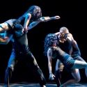 Career Transition for Dancers to Present IT'S ALL PLAN A 2/25