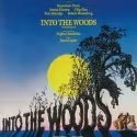 Central Park INTO THE WOODS Already Considering Broadway?