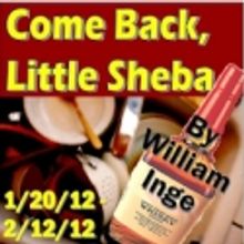 Actor's NET of Bucks County Presents COME BACK, LITTLE SHEBA, 1/20