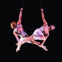 BWW Reviews: Cirque du Soleil's Brilliant IRIS Premieres at Kodak Theatre