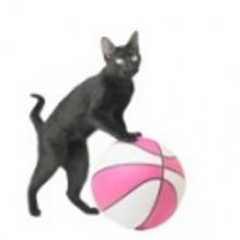 AMAZING ACROCATS Set for Canyon Moon Visit March 1-4