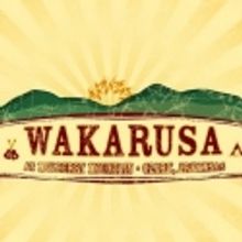Wakarusa Makes First Artist Announcement