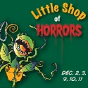 Theatre Aspen Presents LITTLE SHOP OF HORRORS and ANNIE 12/2-12/23