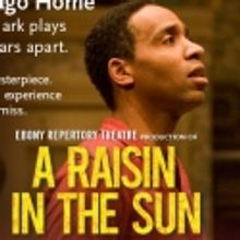 See 2 shows for $55! A RAISIN IN THE SUN & CLYBOURNE PARK