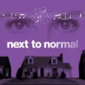 NEXT TO NORMAL Pulitzer Winning Musical Opens At Actors' Playhouse