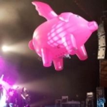 'The Pink Floyd Experience' to Perform at the Paramount Theatre, 3/20