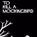 Dallas Theater Center Announces Jeremy Webb as Atticus Finch for TO KILL A…