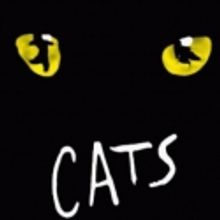 Broadway In Chicago's CATS Tickets Go On Sale, 3/2