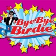 Inside Broadway to Premiere Video Documentary, 3/13