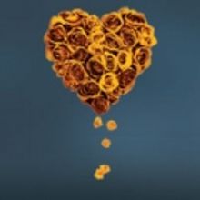 CSC's Young Company to Present MUCH ADO ABOUT NOTHING, 3/5-16