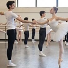 The School of American Ballet Announces Free Events