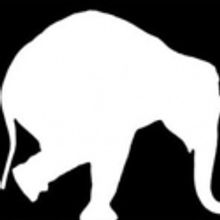 Elephant Theatre Company To Take 2012 Off