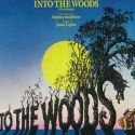 Rob Marshall to Direct INTO THE WOODS Film for Disney!