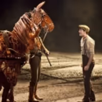 TV: First Look at WAR HORSE in Toronto! Video