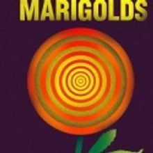 'The Effect Of Gamma Rays On Man-in-the-Moon Marigolds' At Palm Beach Dramaworks