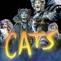 CATS to Play at the Orpheum Theater, 2/17-19