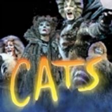 CATS to Play at the Orpheum Theater, 2/17-19