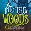 CENTERSTAGE and Westport Country Playhouse Announce INTO THE WOODS Cast
