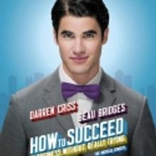 Photo Flash: First Look at Darren Criss in HOW TO SUCCEED!