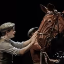 Andrew Durand, Leah Hofmann, et al. Join Cast of WAR HORSE Tonight