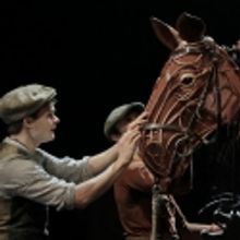 Andrew Durand, Leah Hofmann, et al. Join Cast of WAR HORSE Tonight