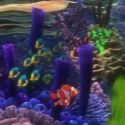 STAGE TUBE: First Look - Disney/Pixar's FINDING NEMO Coming in 3-D