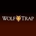 Wolf Trap Elects New Members to its Foundation Board of Directors