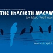 convergence-continuum to Present the Ohio Premiere of THE HYACINTH MACAW