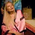LOVE STRUCK To Star Barbara Bain, Peter Van Norden, Nick Ullett, Matthew Brehner