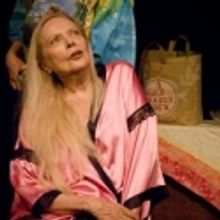 LOVE STRUCK To Star Barbara Bain, Peter Van Norden, Nick Ullett, Matthew Brehner