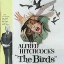 Alfred Hitchcock’s Classic The Birds to Be Shown at Hershey Theatre, 10/29
