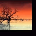Boston Playwrights' Theatre Presents THE RIVER WAS WHISKEY 10/27-11/20