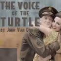 BWW Reviews: THE VOICE OF THE TURTLE Sings Sweetly