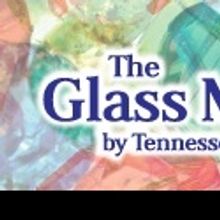 BWW Reviews: Dramatic License Productions Presents Superior Production of THE GLASS M