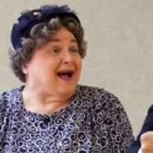 Carol Irvin Stars As Daisy Werthan in DRIVING MISS DAISY at Cumberland County Playhou