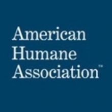 Three New Figures Join Hollywood Christmas Parade, Broadcast 12/12