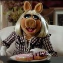 STAGE TUBE: The Muppets Spoof THE HUNGER GAMES in New Trailer